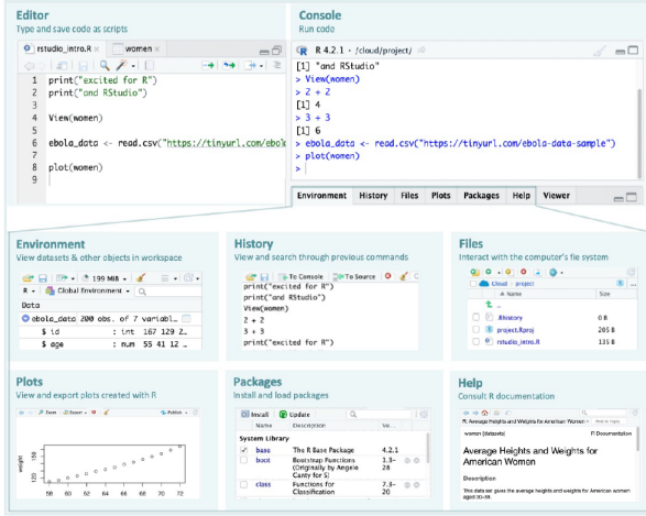 RStudio Source/ Editor pane